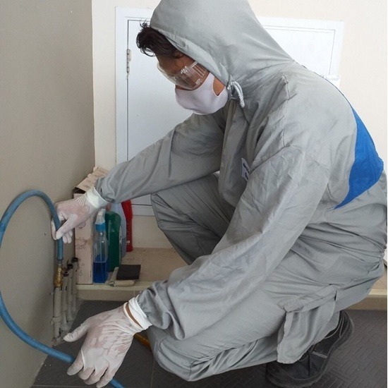 บริษัทกำจัดปลวก สุราษฎร์