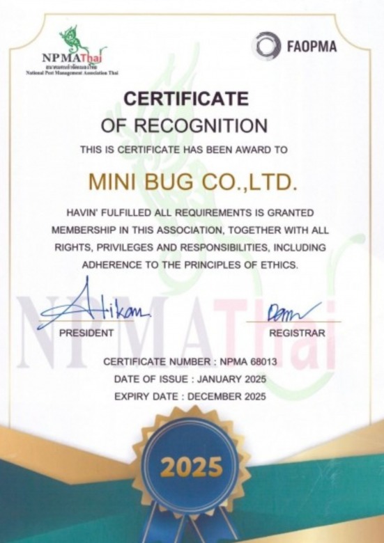 ใบ certificate