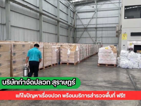 กําจัดปลวกด่วน สุราษฎร์