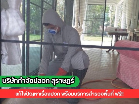 บริษัทรับกําจัดปลวก สุราษฎร์